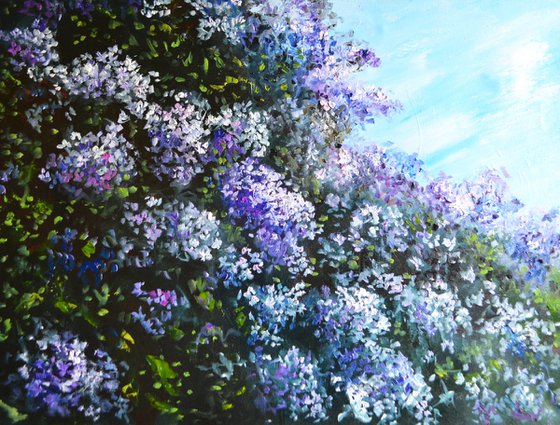 Lilac Garden