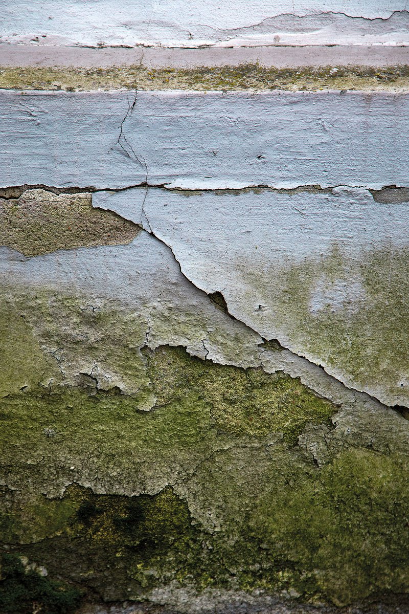 Organic Abstract Photograph By Maciej Jabkowski, 16 X 24", Wall 2, Original Artwork