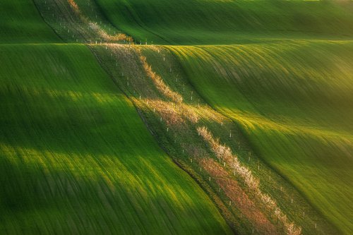 Moravian green wawes by Kucera Martin