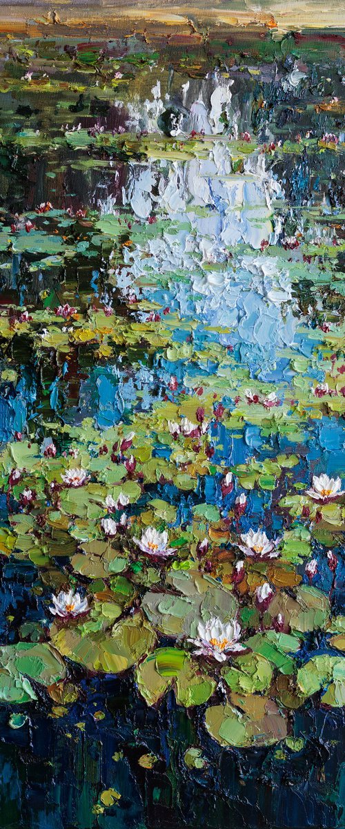 White Water Lilies in the Pond by Anastasiia Valiulina