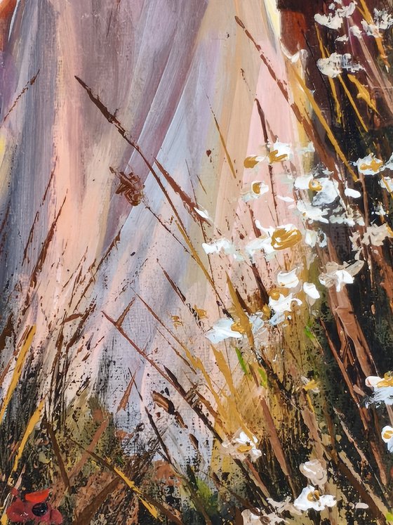 “Where Light Leads Us”