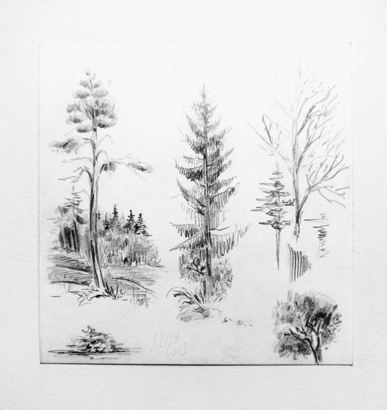 Plein air. Sketch # 3. Original pencil drawing.