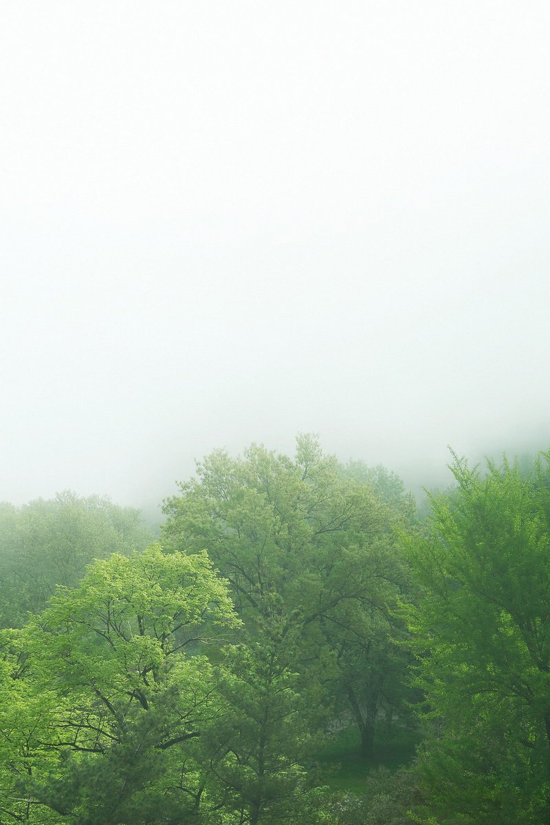 Surrealistic Landscape Photograph By Journey Gong, 29 X 43", Wild Season, Original Artwork