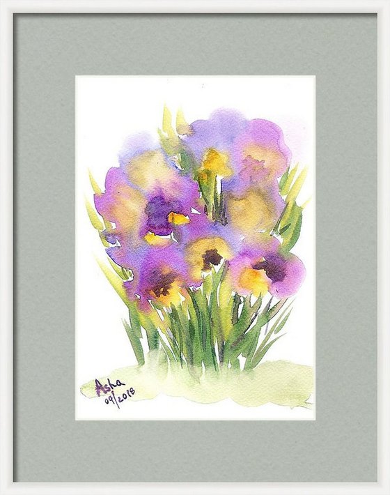 Pansies