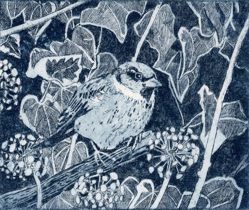 Sparrow by Janis Goodman