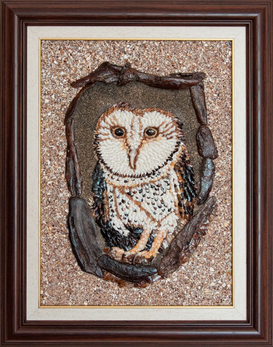 Owl by Miriyam