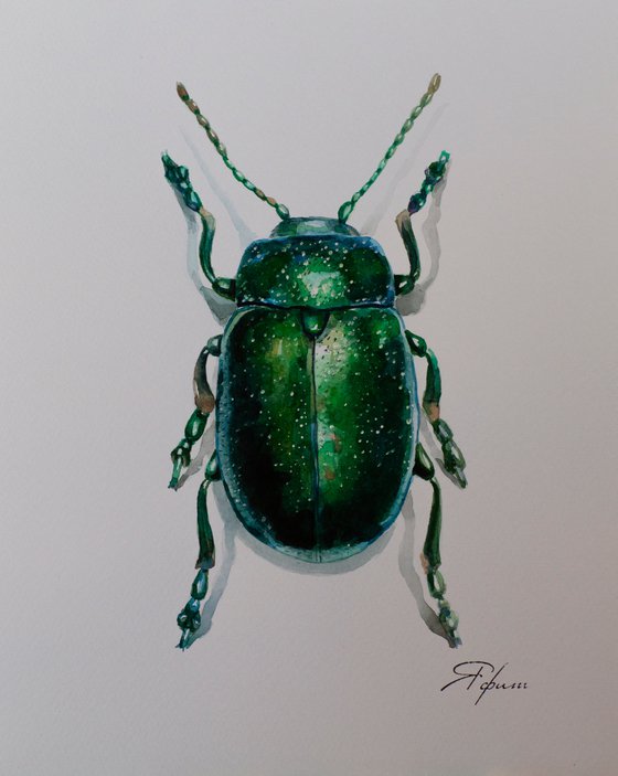 Green beetle