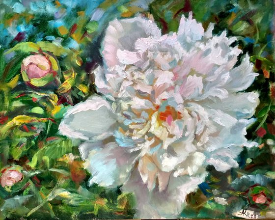 White peony