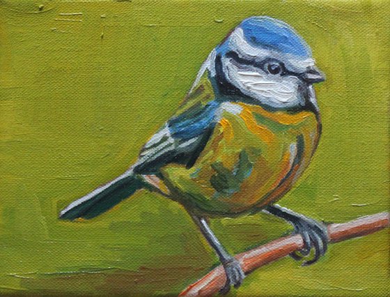 Blue Tit #1