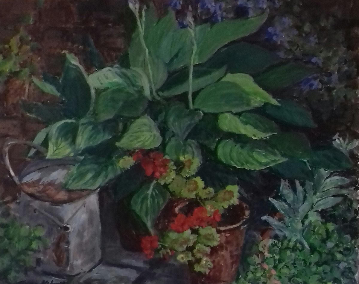 Hosta and Old Watering Can by Ann Kilroy