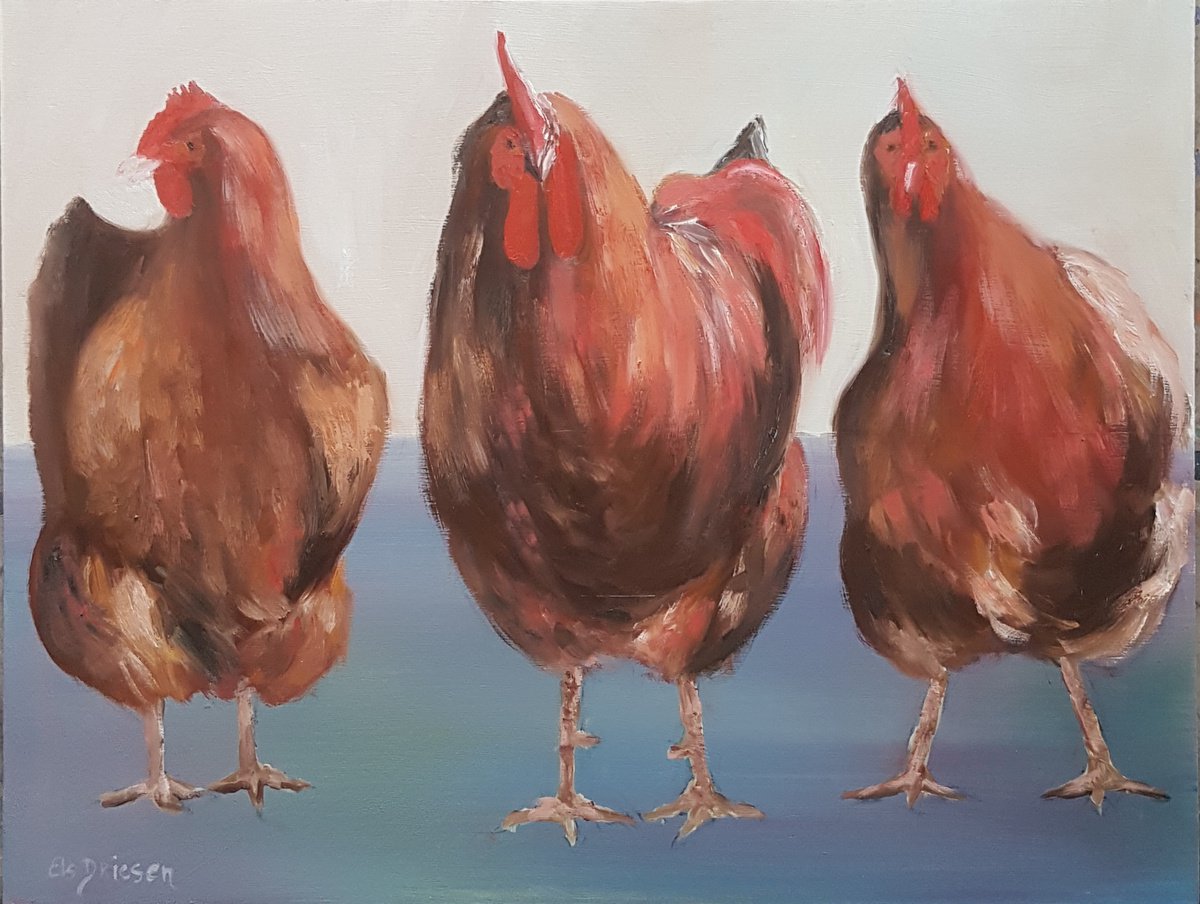 Impressionistic Animal Oil Painting By Els Driesen, 24 X 20, Newhampshirechickens, Original Artwork