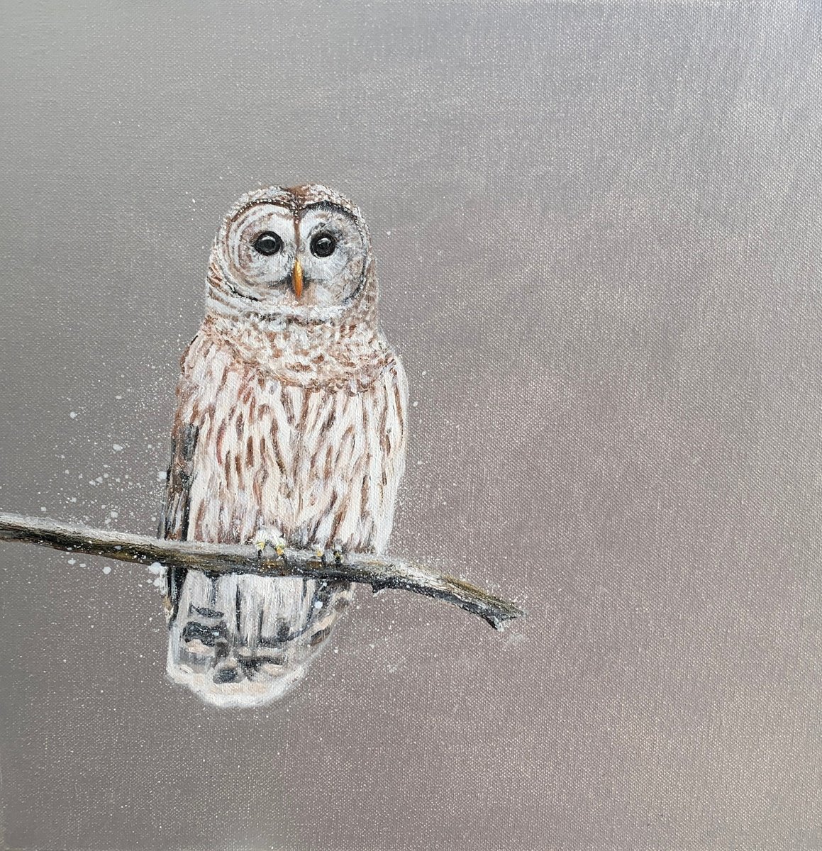 Impressionistic Animal Painting By Laure Bury, 16 X 16", Tawny Owl ~ On Silver, Original Artwork