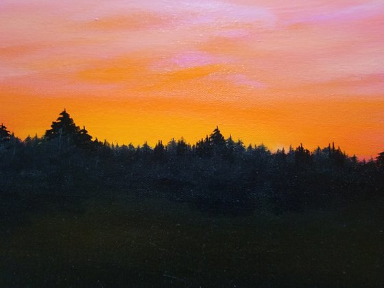 Pine Sunset