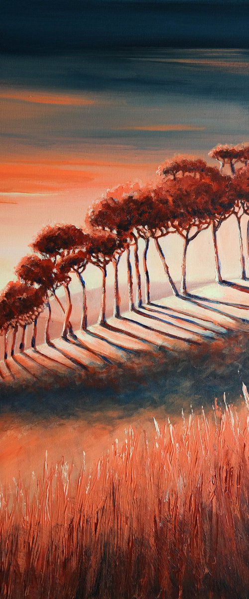 Blissful Morning -  Fields and Colors Series by Danijela Dan