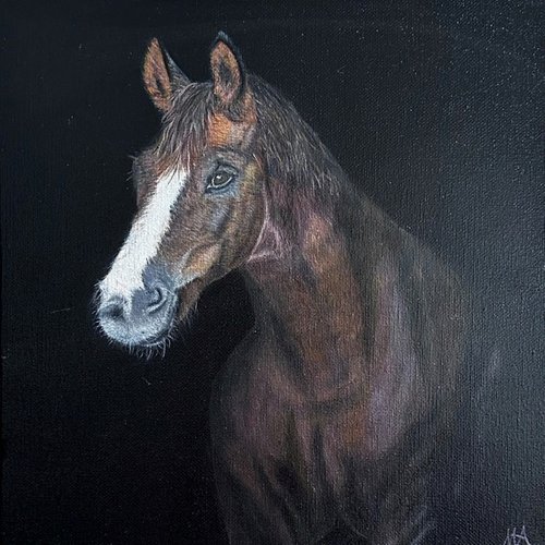 Horse # 1 by MINET