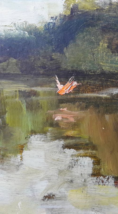 The little duck by Irina Sergeyeva