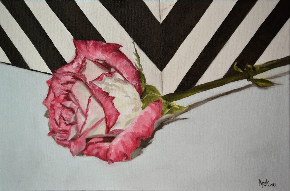 Photorealistic Botanical Oil Painting By Afekwo, 12 X 8, A Rose, Original Artwork