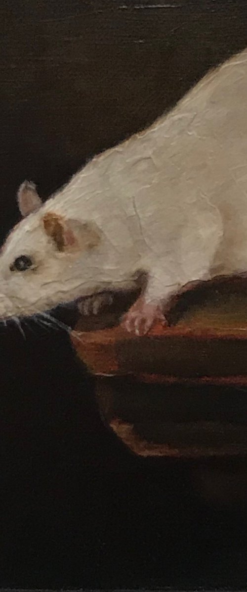 White Rat Animals collection by Marina Deryagina