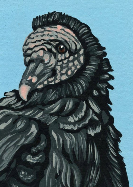 ACEO ATC Original Miniature Painting Black Vulture Bird Wildlife Art-Carla Smale