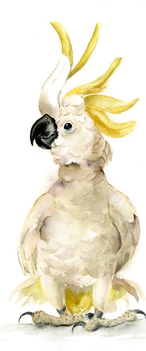 White Cockatoo Parrot by Olga Tchefranov (Shefranov)
