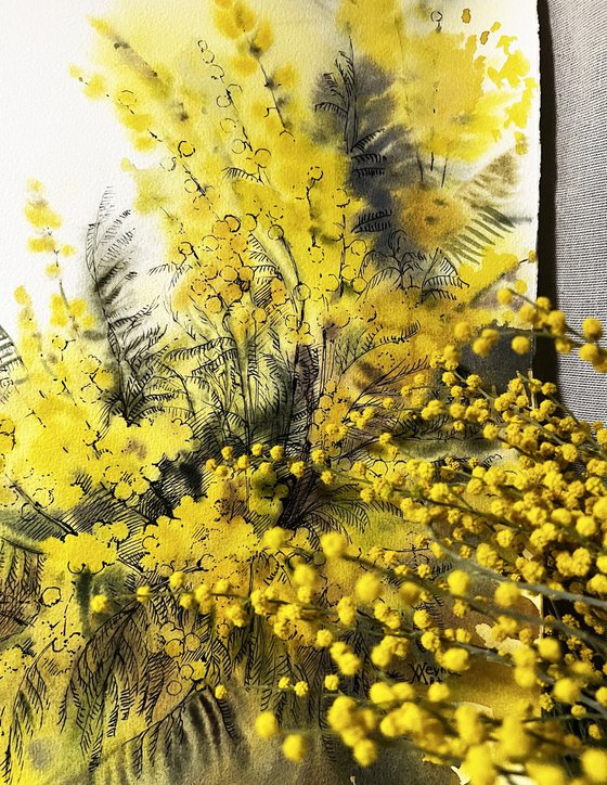 Mimosa branches