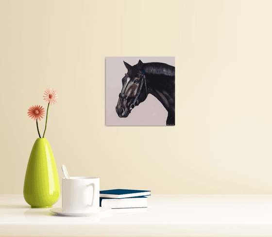 Horse Portrait 11