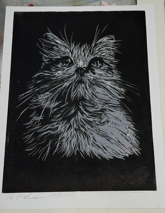 Sheet No. 003 (2023)