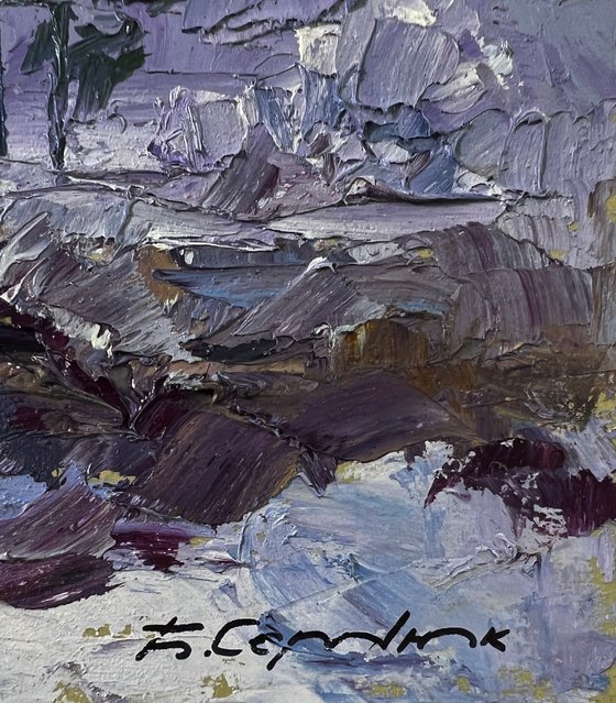 The Forest was Covered with Snow