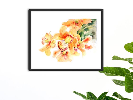 Orchid spring flowers watercolor illustration