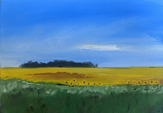 Miniature Sunflowers Landscape #2