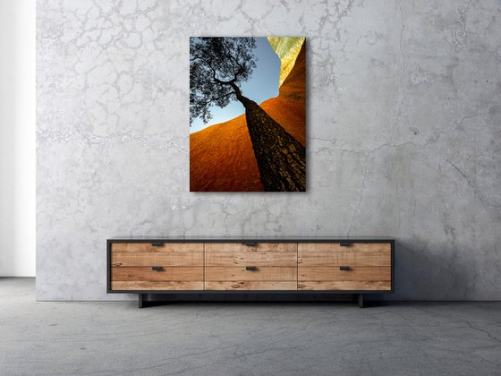 Uluru Jarrah