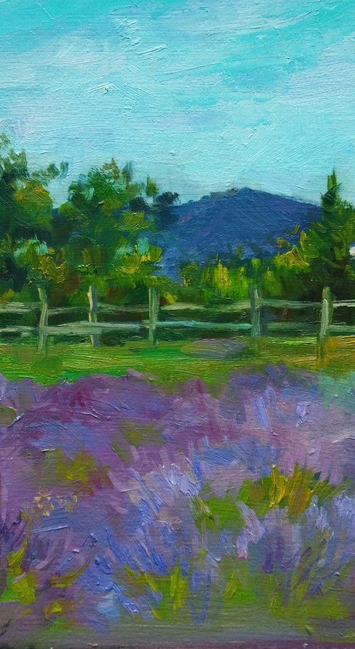 Lavender field 5 by Ann Krasikova