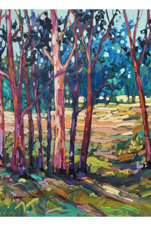 Eucalyptus Grove by Clair Bremner