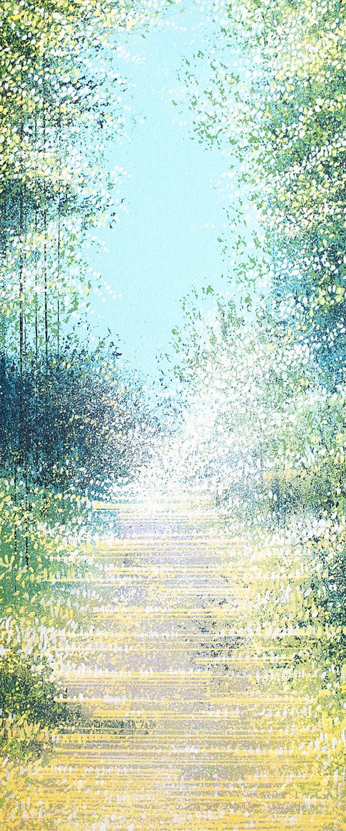 Forest Path In Sunlight by Marc Todd