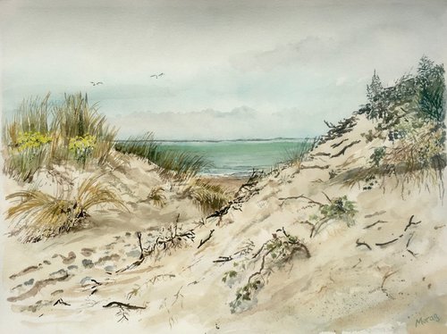 Path over the Dunes, Duinovergang Pèse Schorre by Morag Paul