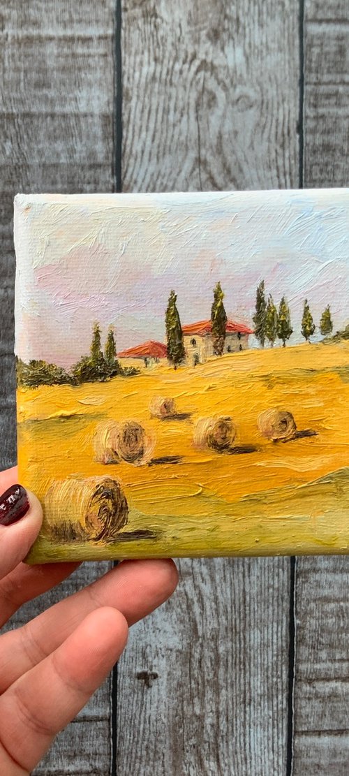 Golden Fields of Tuscany by Alexandra Jagoda (Ovcharenko)