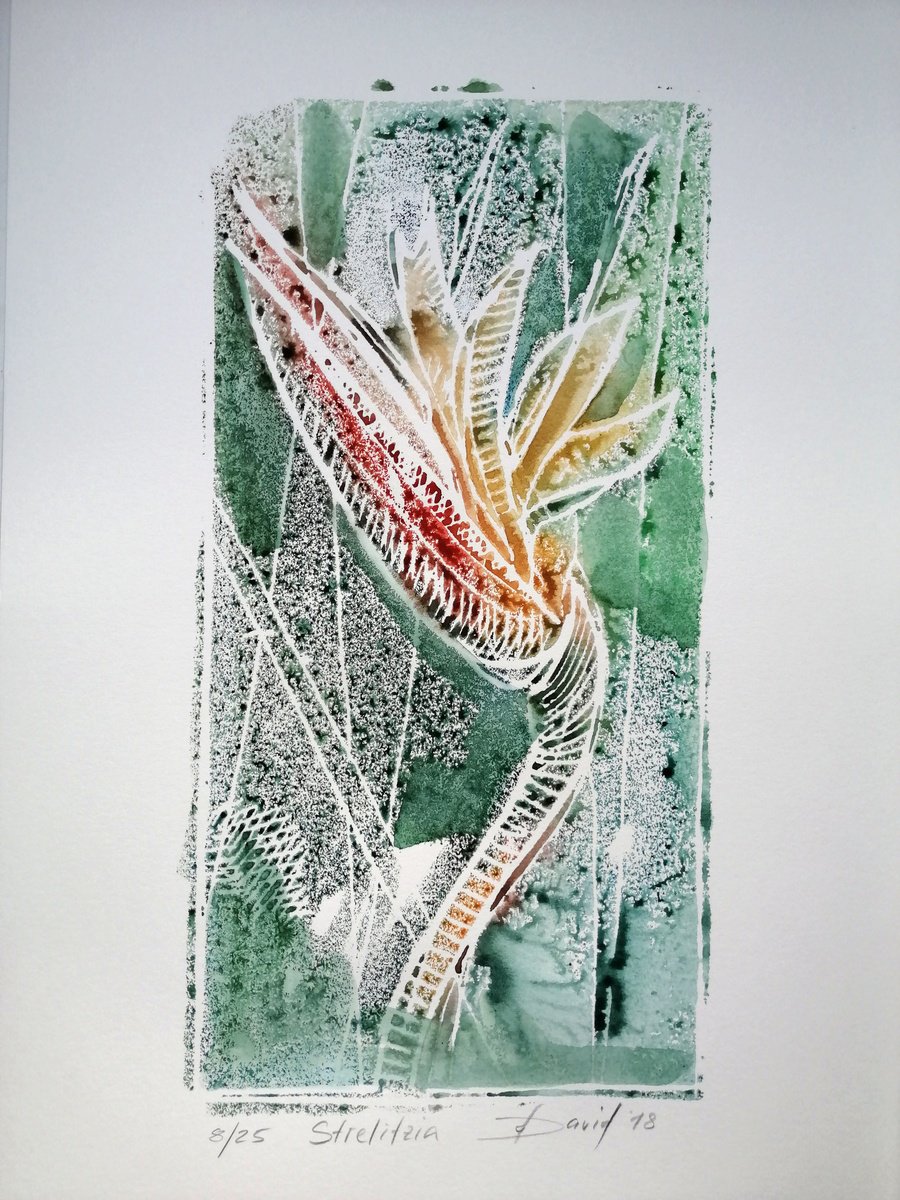 bird of paradise flower - Monotype 08 by Olga David