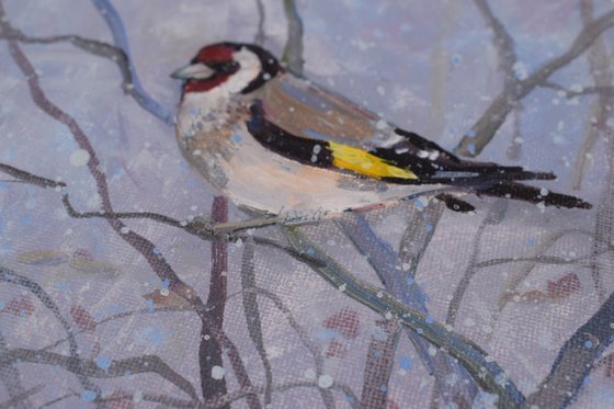 Goldfinch - 2