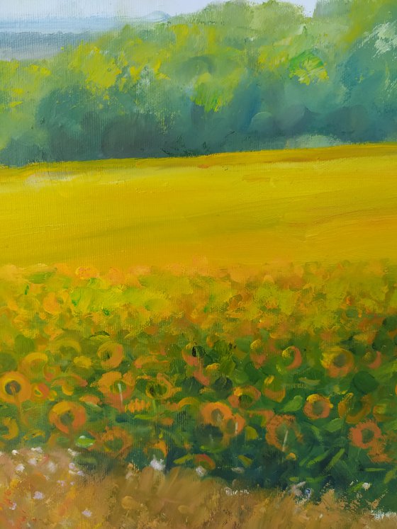 Sunflowers field