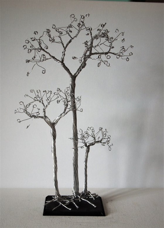 Silver tree, 3 Aspen's