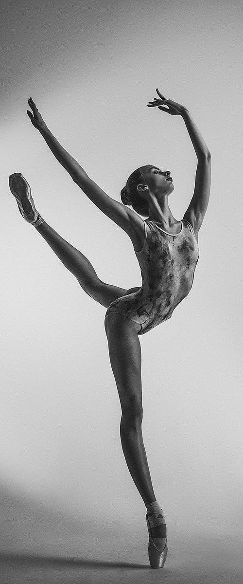 ballerina by Dan Hecho