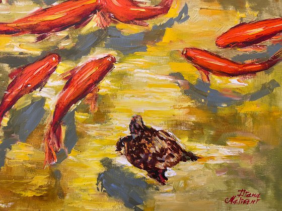 Koi Fish Pond with a Little Turtle