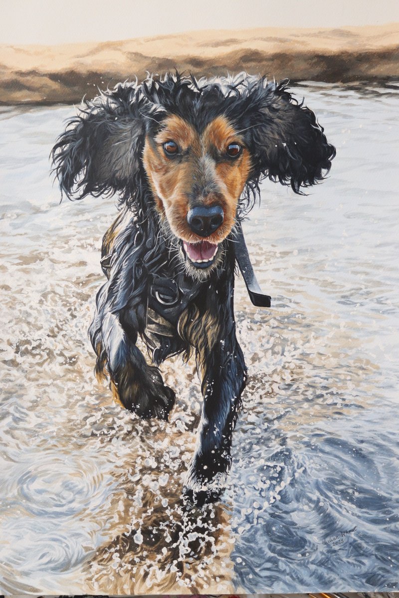 Photorealistic Animal Acrylic Painting By Julian Wheat, 17 X 24", Rodney, Original Artwork