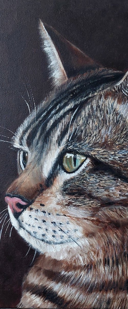 Curious Gaze by Ira Whittaker
