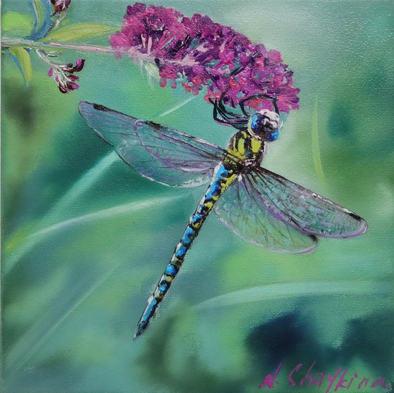 Dragonfly In A Meadow Flowers