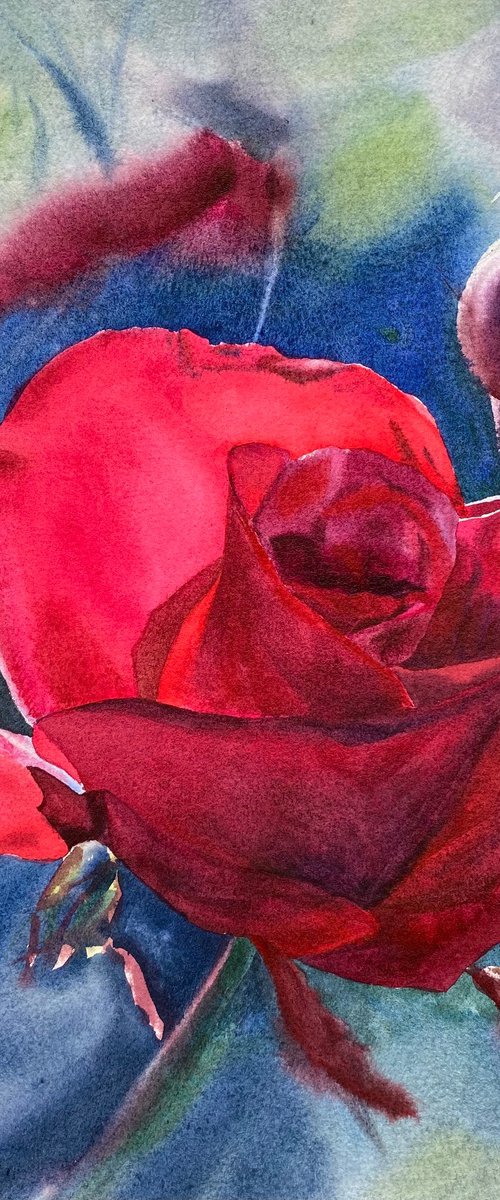 Floral: Shining Rose by Alla Semenova