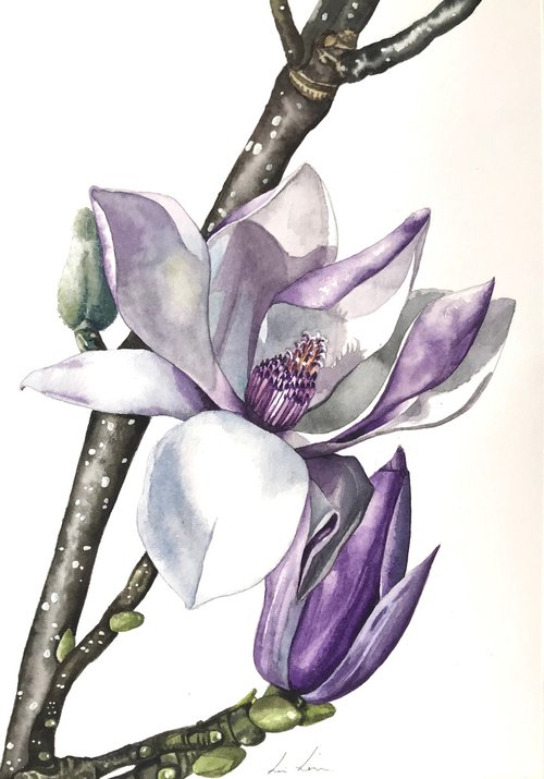 Magnolia by Lisa Lennon