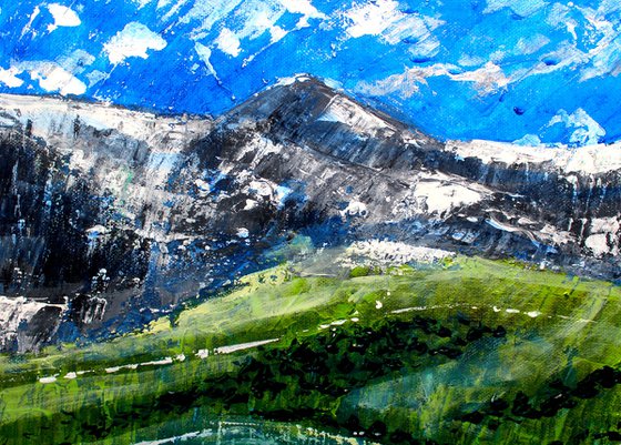 Alpine Meadow II