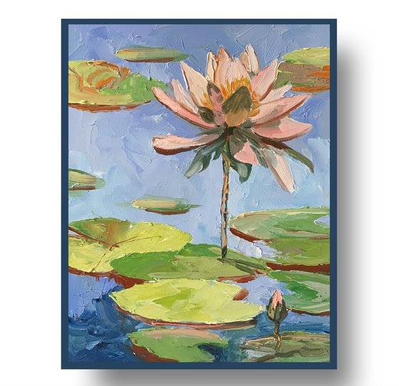 Water Lily. Lilies pond.