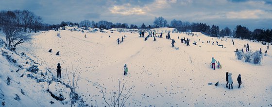 Sledging in the winter park.